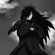 Guest_Vanitas15