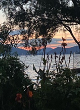 Guest_Guera27