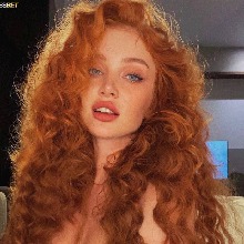 Guest_Ariel356545