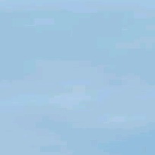 Guest_Auroraboas
