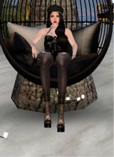 Guest_Rae956959