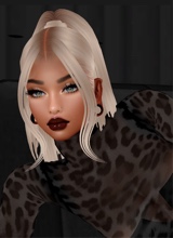 Guest_Jael41