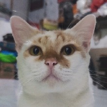 Guest_yeontan1