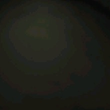 Guest_DEREN3