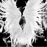 Guest_Angelina912430