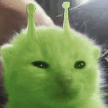 Guest_lobotomiaa