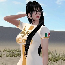 Guest_stone02