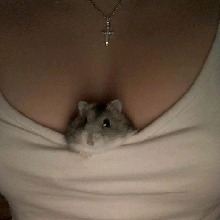 Guest_Meowi06