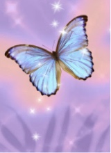 Guest_Layla611831
