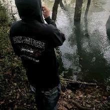 dgKL1