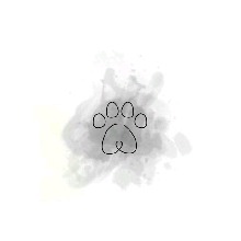 Guest_Zoya80624