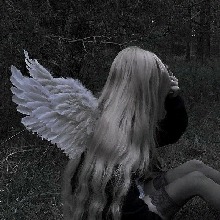 Guest_Olchik3