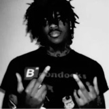 Guest_Jayden192157