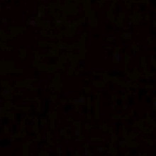 Guest_Poodah1
