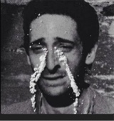 Guest_Ivo1969
