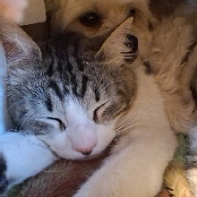 Guest_K611408