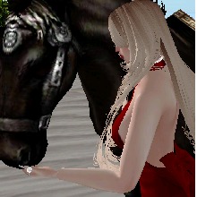 Guest_AlProperty