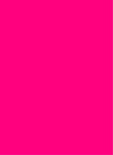 Guest_Sarai437918