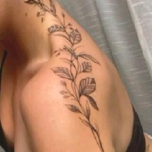 Guest_Andrea389893