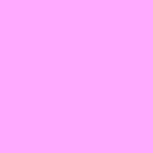 Guest_Anny742131