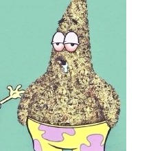 Guest_Superstoneddd