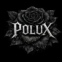Guest_Pollux5