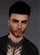 Guest_dylan182645