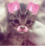 Guest_Kayy584175