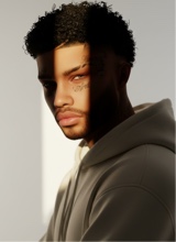 Zanesty