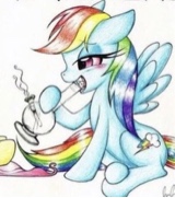 Guest_aronrose1