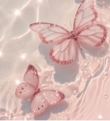 Guest_Lauma3