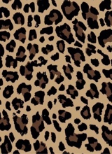 Guest_saraomar1
