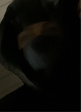 Guest_theyluvmaya8