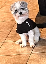 Guest_Annabelle112815