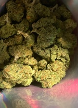 Guest_highoffnn