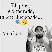 Guest_Ellocoflow