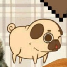 avpic