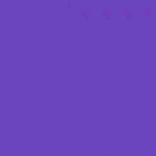 Guest_n414017