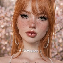 Guest_AlyceStey2