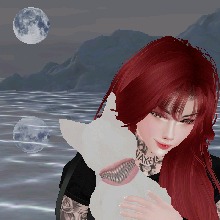 Guest_Evelin138230