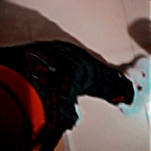 Guest_FrederikMendoza