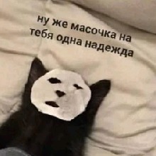 Guest_Irilin