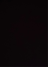 Guest_laniii591558