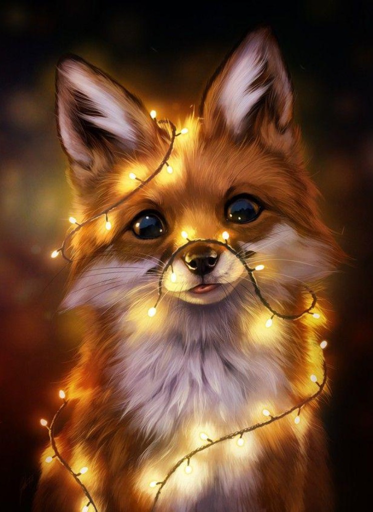 Guest_ShyLilGracieBear