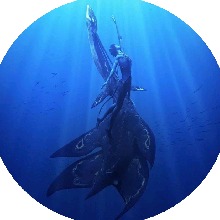 Guest_kiara417317