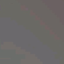 Guest_Mimisec