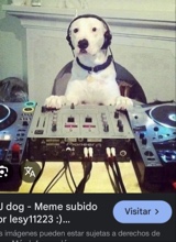 Guest_edni4