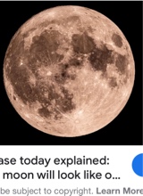 Guest_Moon84908
