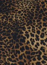 Guest_jalizzxx