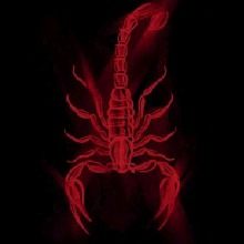 Guest_Escorpiolll